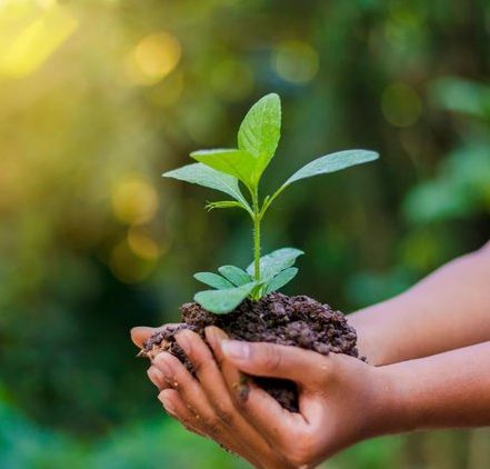 Site Title hi friend